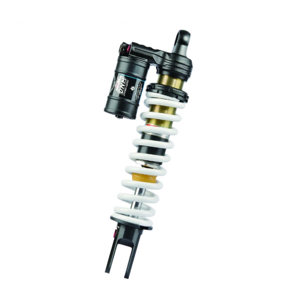 Dnm suspension 2024